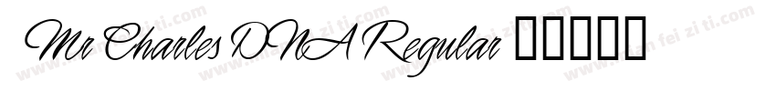 1 Mr Charles DNA Regular字体转换